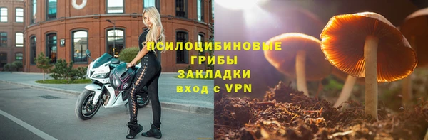 мдпв Барнаул