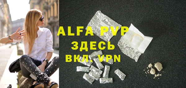 тгк Абаза
