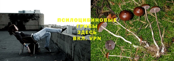 винт Арсеньев
