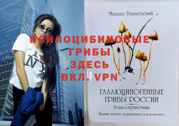 винт Арсеньев