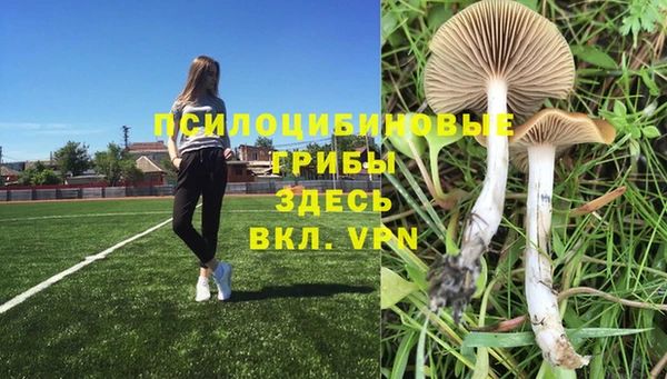 винт Арсеньев