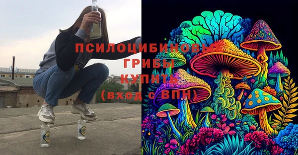 винт Арсеньев